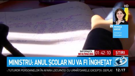 Ministrul Educaţiei, Monica Anisie reafirmă că anul şcolar nu va fi &icirc;ngheţat