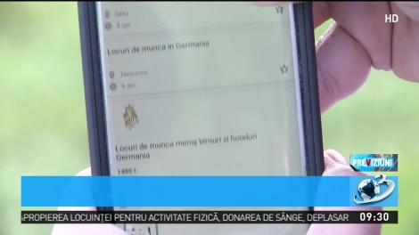 Drumul către sparanghelul nemţesc. Discuţie reporter- reprezentant firmă de recrutare