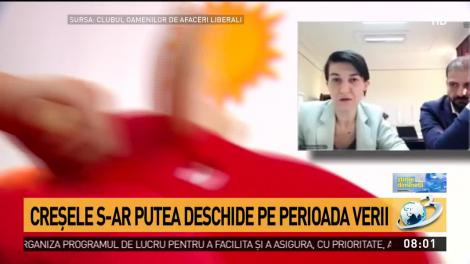 Creşele s-ar putea deschide pe perioada verii