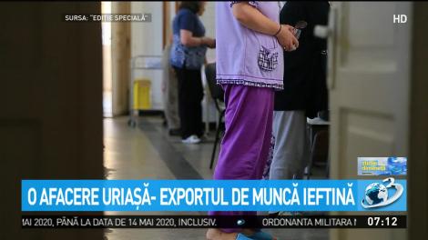 "Pe neamț &icirc;l doare spatele, el nu culege sparanghel!" Munca ieftină a rom&acirc;nilor, cea mai bună afacere pentru europeni