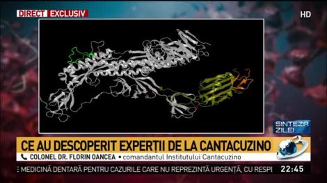 Descoperire esențială la Institutul Cantacuzino. Experții  au stabilit tulipina de coronavirus care circulă &icirc;n Rom&acirc;nia