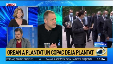 Ludovic Orban a plantat un copac deja plantat. Imaginile au devenit virale