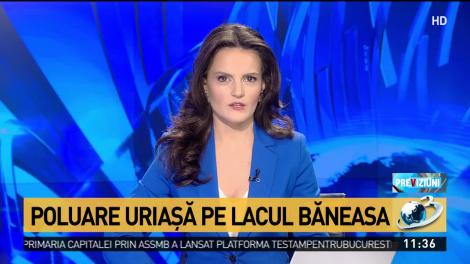 Poluare uriașă pe Lacul Băneasa. Gabriela Firea cere o anchetă