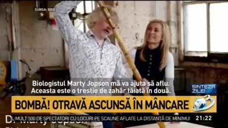 Otrava ascunsă în mâncare. Experții, semnal de alarmă pentru români: ”Acest ingredient există aproape în orice aliment. E foarte periculos!”