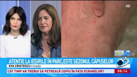 Este sezonul căpușelor. Ce facem pentru a le ține la distanță?