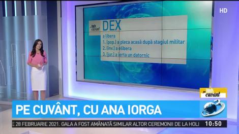 Sintagma controversată din domeniul juridic: liberare sau eliberare condiţionată?