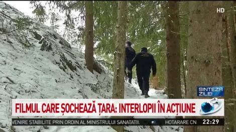 Filmul car şochează ţara: Interlopii &icirc;n acţiune