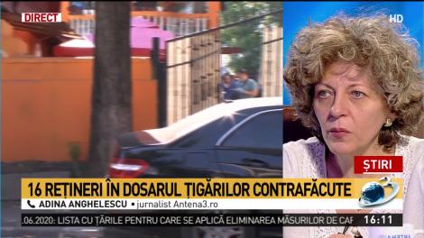 Adina Anghelescu, despre dosarul ţigărilor contrafăcute