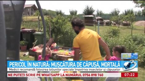 Pericol &icirc;n parcuri! Mușcătura de căpușă, mortală! Medicii trag un semnal de alarmă