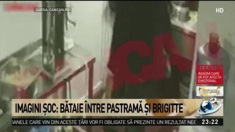 Imagini şoc: Bătaie între Pastramă şi Brigitte