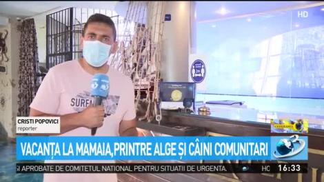 Vacanţa la Mamaia, printre alge şi c&acirc;ini comunitari
