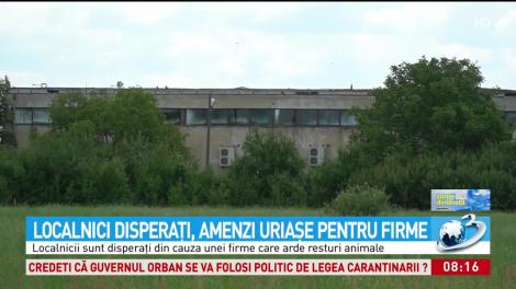 Miros insuportabil &icirc;n oraşul Carei! Localnicii sunt disperaţi