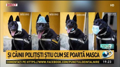 „Dacă Șuier poate, și noi putem!” Cel mai simpatic membru al Poliției Capitalei ne învață cum trebuie să purtăm masca