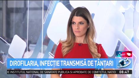 Ţ&acirc;nţarii, responsabili de transmiterea multor boli. Cum ne protejăm de ciupituri