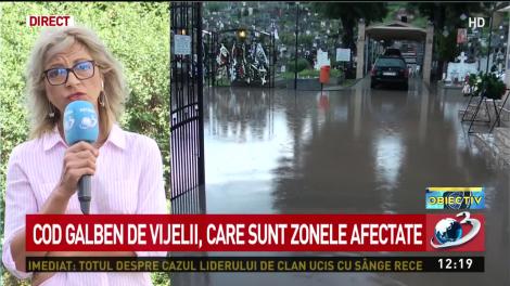 Cod galben de vijelii. Zece judeţe vor fi sub cod galben