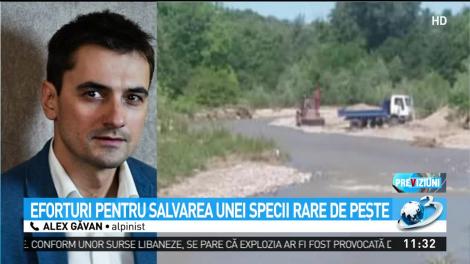 Aplinistul Alex Găvan &icirc;ncearcă să salveze o specie rară de peşte