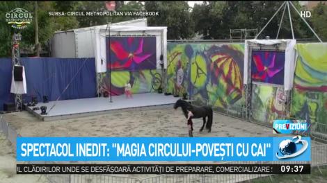 Veste bună bucureşteni! Reprezentație de zile mari la Circul Metropolitan
