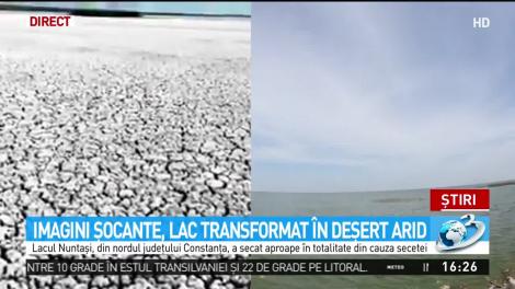 Imagini apocaliptice &icirc;n judeţul Constanţa! Autorităţile caută soluţii disperate