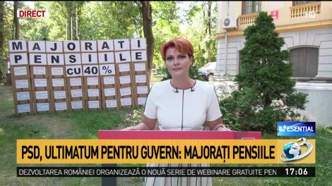 Lia Olguţa Vasilescu: Guverul nu a recalculat pensiile