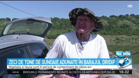 Dezastru ecologic pe r&acirc;ul Olt