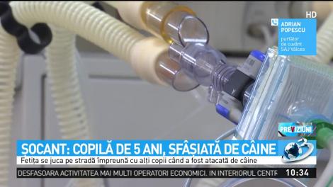 Fetiță din R&acirc;mnicu V&acirc;lcea sf&acirc;șiată de un c&acirc;ine, chiar de ziua ei, &icirc;n fața casei