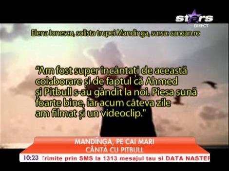 Mandinga, colaborare cu Pitbull