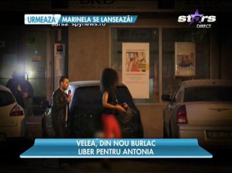 Alex Velea, din nou burlac