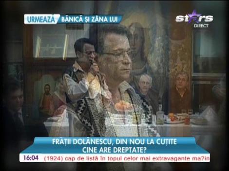 Fraţii Dolănescu sunt din nou la cuţite