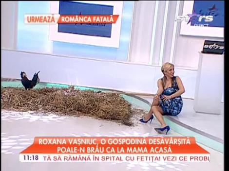 Roxana Vaşniuc, o gospodină desăvârşită