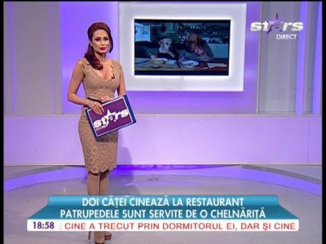 Doi căței la restaurant