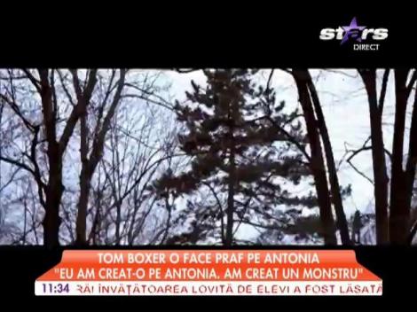 Tom Boxer o face praf pe Antonia