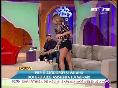 Posibilele asistente ale lui Morar