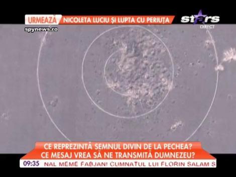 Cercurile misterioase de la Pechea