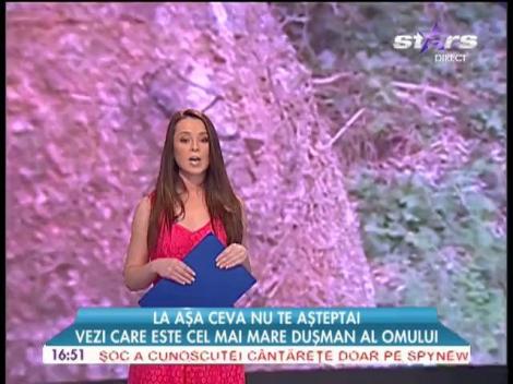 Ţânţarul, cel mai periculos duşman al omului