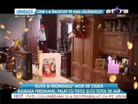 Iată cum arată palatul bulibașei Ferdinand Stănescu!