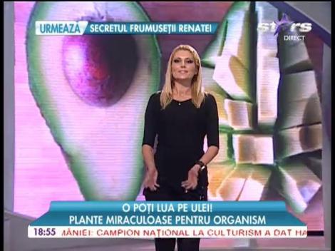 Plante miraculoase pentru organism