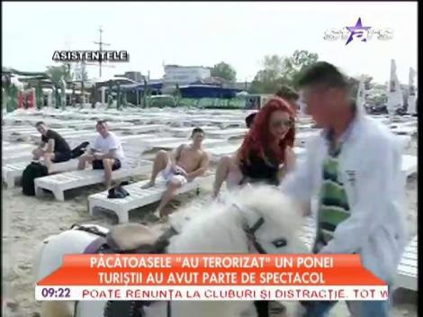 Păcătoasele au "terorizat un ponei". Turiştii au avut parte de spectacol