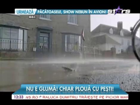 Plouă cu peşti într-un orăşel din China