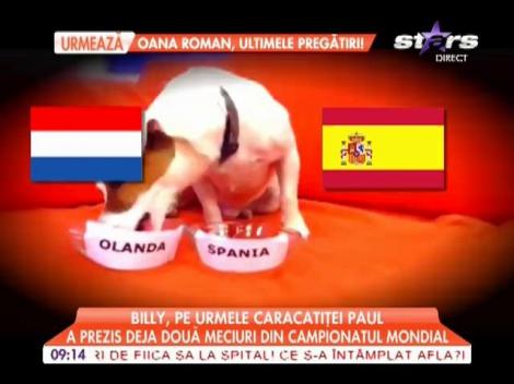 Cățelul Billy este un adevărat oracol!