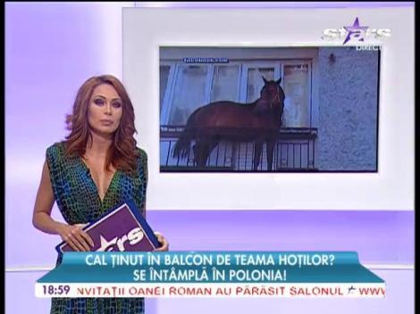 Un bărbat îşi ţine calul în balconul apartamentului