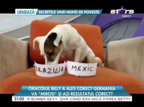 Billy a prezis cine va câştiga partida de fotbal din Cupa Mondială din această seară!