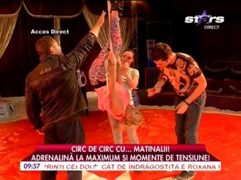 Matinalii au mers la circ