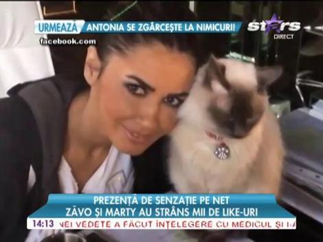 Oana Zăvoranu, topită după Marty