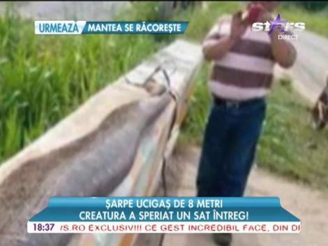 Şarpe ucigaş de 8 metri! Creatura a speriat un sat întreg!