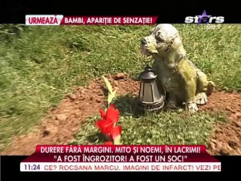 Durere fără margini! Mihai Mitoşeru şi Noemi, în lacrimi!