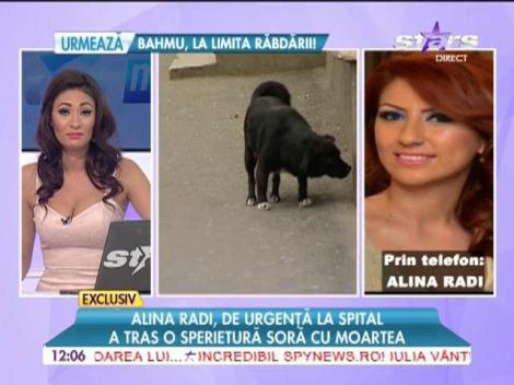 Alina Radi, atacată de o haită de câini! A ajuns de urgenţă la spital