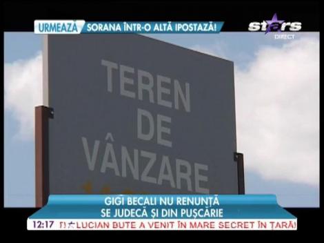 Gigi Becali se judecă din puşcărie