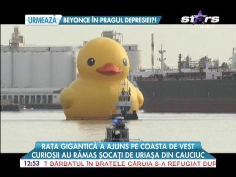 Raţa de 11 tone a ajuns pe Coasta de Vest