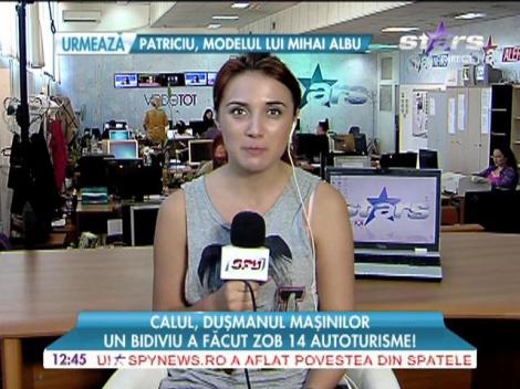 Un cal a făcut zob 14 autoturisme