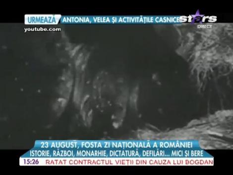 23 august, fosta zi națională a României
